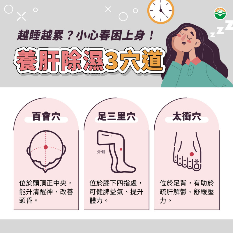 春睏越睡越累？中醫揭身體失衡警訊：養肝除濕告別昏沉疲憊