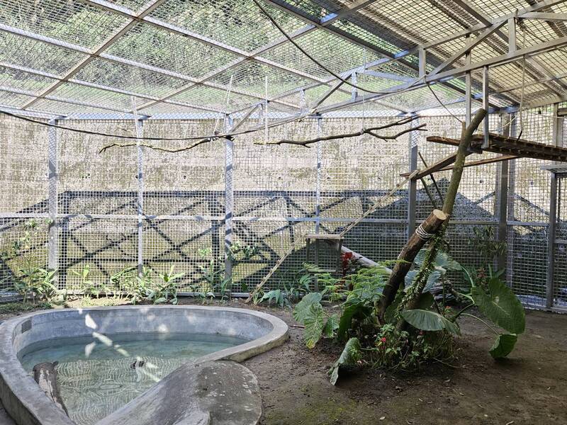 新北三芝動物之家華麗轉身：野生動物救傷收容中心啟用，救援量翻倍成長！