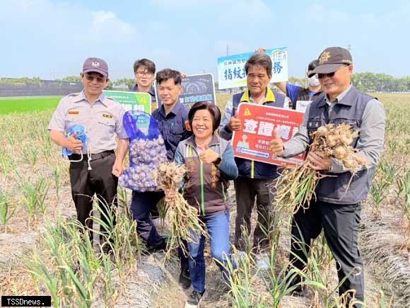 雲林莿桐「護蒜專案」出擊：警民聯防，如何守護台灣頂級蒜頭免於宵小覬覦？